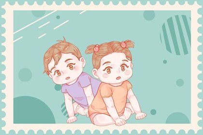 龙凤胎15