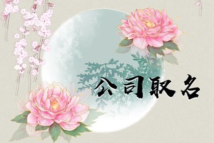 起名字公司2020免费_取名字.全免费大全公司_公司起名字大全免费