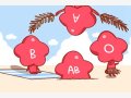 b血型和什么血型配