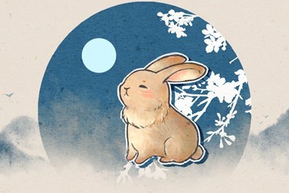 兔2