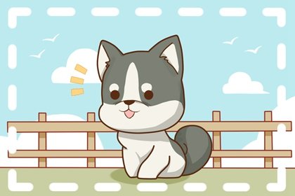 1月爛桃花zui多的生肖2023年 屬狗屬兔屬猴