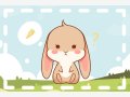 2023年春节属兔人幸运颜色和幸运数字  最佳幸运色、吉祥数字查询