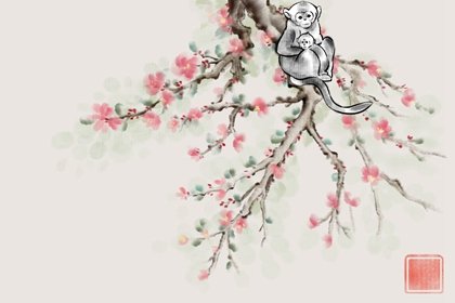 2023年1月正桃花zui好的生肖 屬虎屬鼠屬猴
