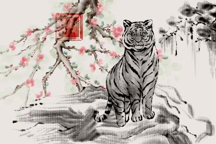 86年屬虎36歲有一災嗎  1986年屬虎2022年本命年破解方法
