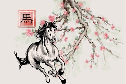 牛馬相害到底有多嚴重 生肖沖突中的微妙關(guān)系