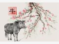 属牛的人2023年春节幸运吉祥的颜色和忌讳色查询