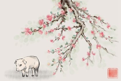 屬豬的上半年貴人屬相2023 命遇貴人諸事順利