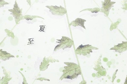 夏至艾灸的最佳时间及注意事项 艾灸能养生吗