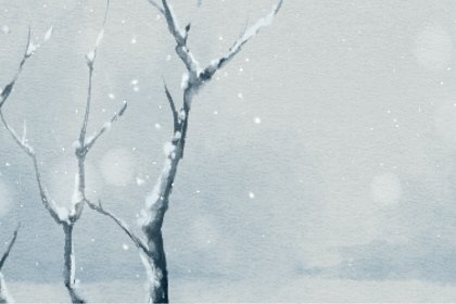 2023年11月22日小雪出生的宝宝是什么命 五行和性格简析