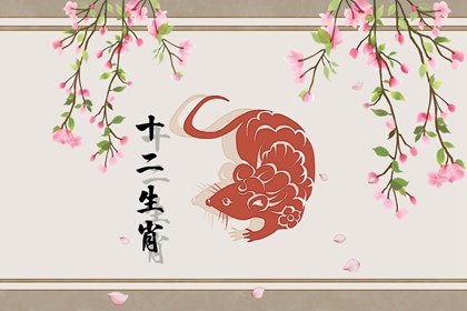 属鼠人2024年要“倒大霉”了，请花六秒钟“破解”