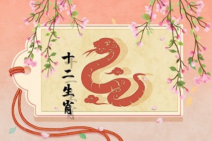 8ʲôˣ