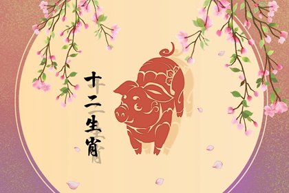 屬豬人命裡缺什麽，一生命運解析
