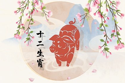 属猪2023年婚姻会离婚吗