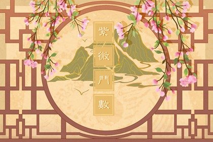紫微斗数身宫在夫妻宫  正桃花运不错