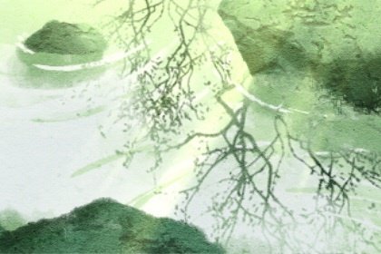 石榴木命怎麼樣 命好不好呢