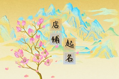 淘宝店铺 罕见的名称推荐