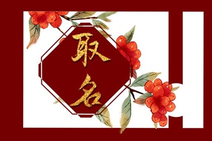 零食店搞笑名字创意 体现品质顾客放心