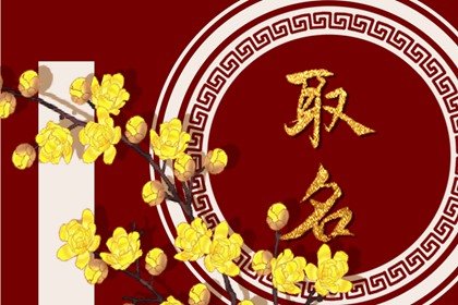 2022虎年生的宝宝怎么取名 八字命运详解