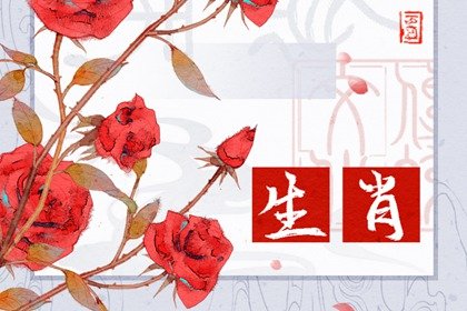 每日冲煞属相 2023年11月28日属什么生肖冲什么