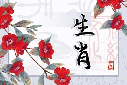 第一运程21年11月6日十二生肖运势解析 第一星座网