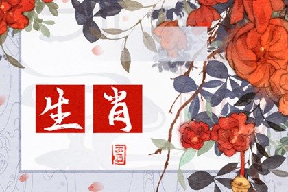 楊清華 十二生肖一周運勢11.13-11.19