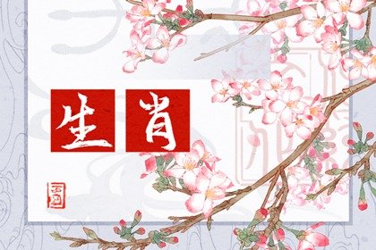 杨清华 十二生肖一周运势10.24-10.30