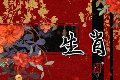 屬相不合財怎么坡解  相克屬相分類