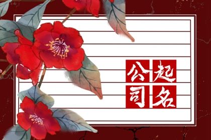 有创意的广告工作室名字,独特的传媒工作室取名