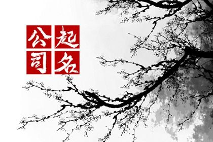 回收公司名称大全简单大气  很有创意的企业取名