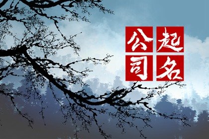 两个字吉利大气的公司名字 有创意的公司名字大全免费