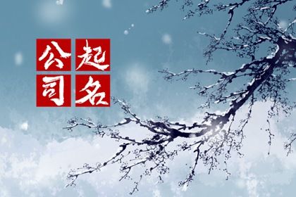 公司起名的5个注意事项 避雷宝典