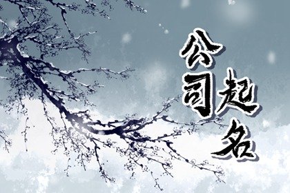 属虎的公司名字大全 大气的公司名字