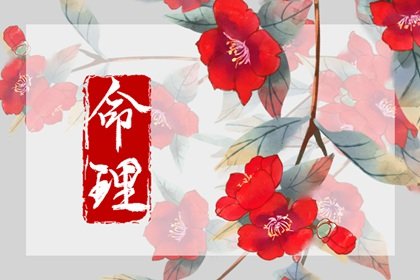 八字怎麽看致富命局 日坐財庫無人不富