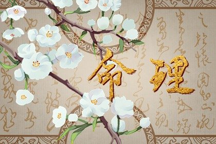 八字测命  丁未日生于寅时 寅时出生印绶助身吉利