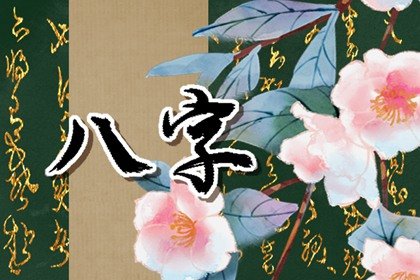 车牌吉利号码测.算 女生车牌号码怎么选吉利