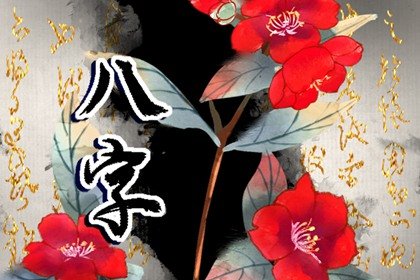 车牌号最不吉利的尾数 车牌的学问讲究