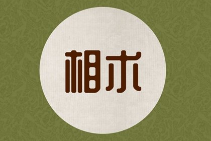 如何从面相看人财富 有财运的人的面相特征