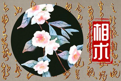 周一至周日眼皮跳代表 眼皮跳的含义