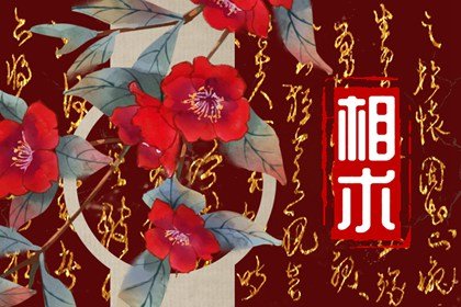 富胎记腰里藏是什么意思 人生精彩事业平稳