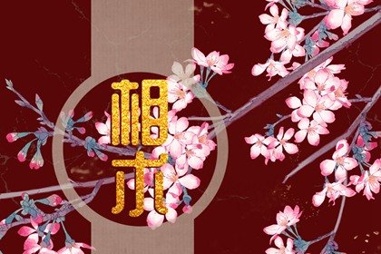 老公疼爱衣食无忧的女人面相 眉毛聚拢鼻子端正一生幸福