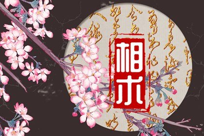女人富人痣是什么意思 赚钱能力强一生好运不断