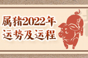 属猪2022运势