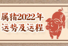 属猪2022运势