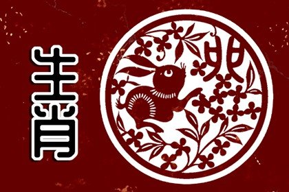 属兔人注意避掉这个“坑”，不然不好受