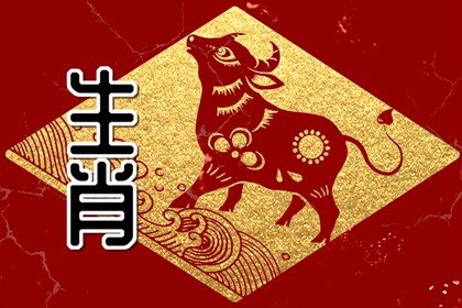 属牛2023年正财运怎么样 赚得盆满钵满