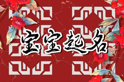 2023兔年王姓女寶寶取名 2023年女孩最佳取名姓王