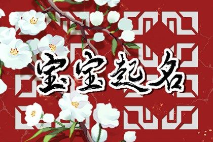 屬兔的名字宜用字有哪些  這些取名用字意義非凡又好聽(tīng)