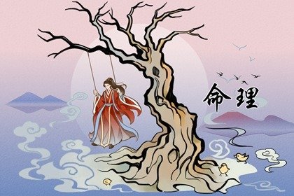 癸巳日柱女命命运解析  女命最大优势是什么