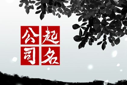 能出名的企业名字 高档的公司名称有哪些