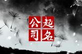 生肖属鸡的人注册公司什么名字好 大气公司名精选推荐